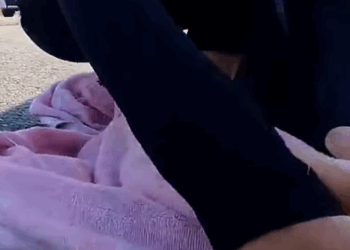 T1407043 Rescue Cat cats catvideo catsoftiktok rescue rescuea part2