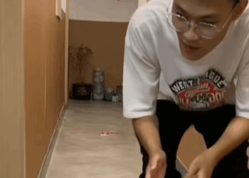 T2007032 Poor dog pet xuhuong fyp trending dog petsoftiktok dogsoftiktok part2