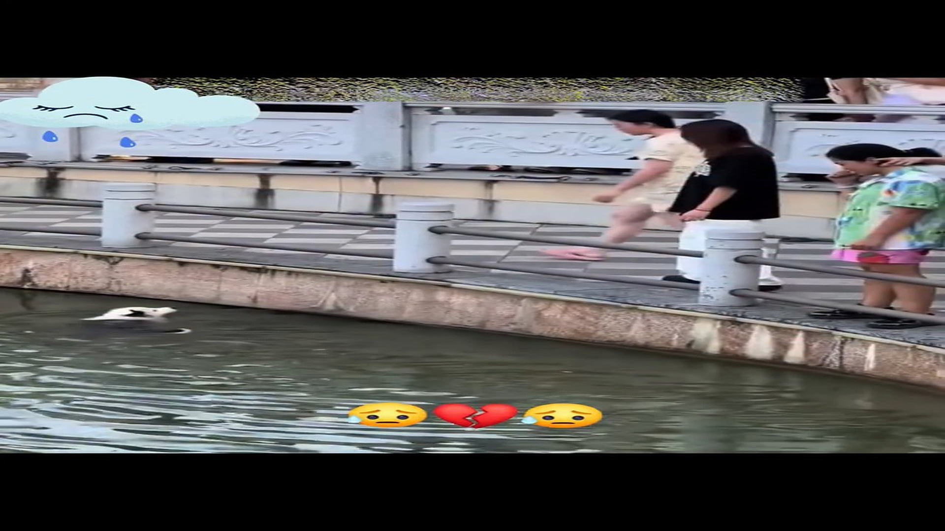 Full Video : H0806039_14K views 692 reactions #trendingreel #shorts #virals Joni CR